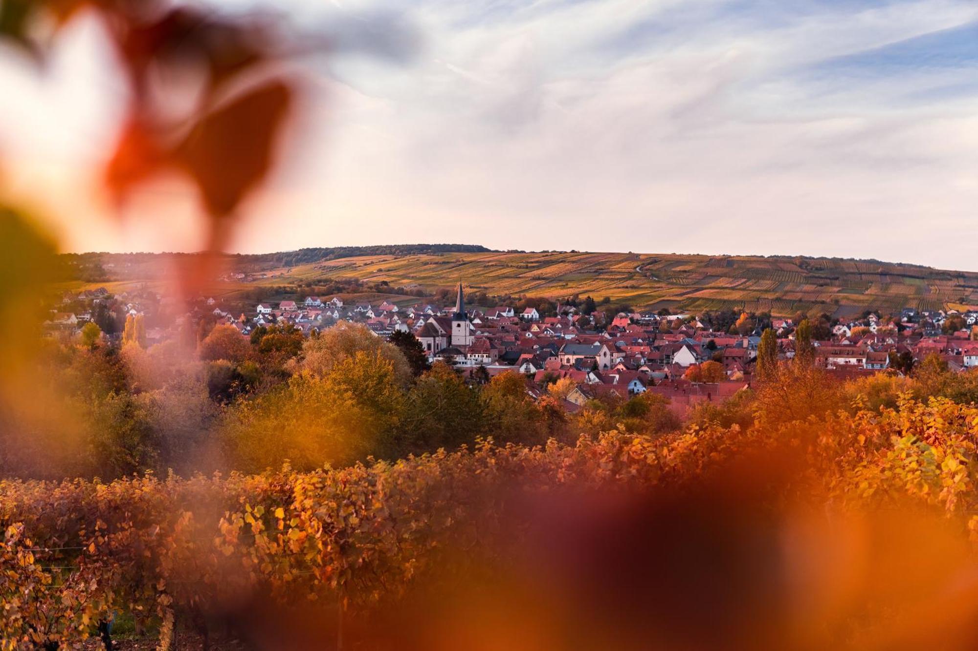 Le Du Kaiser Apartment Kaysersberg-Vignoble